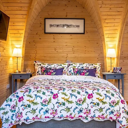 1 Bed In 77748